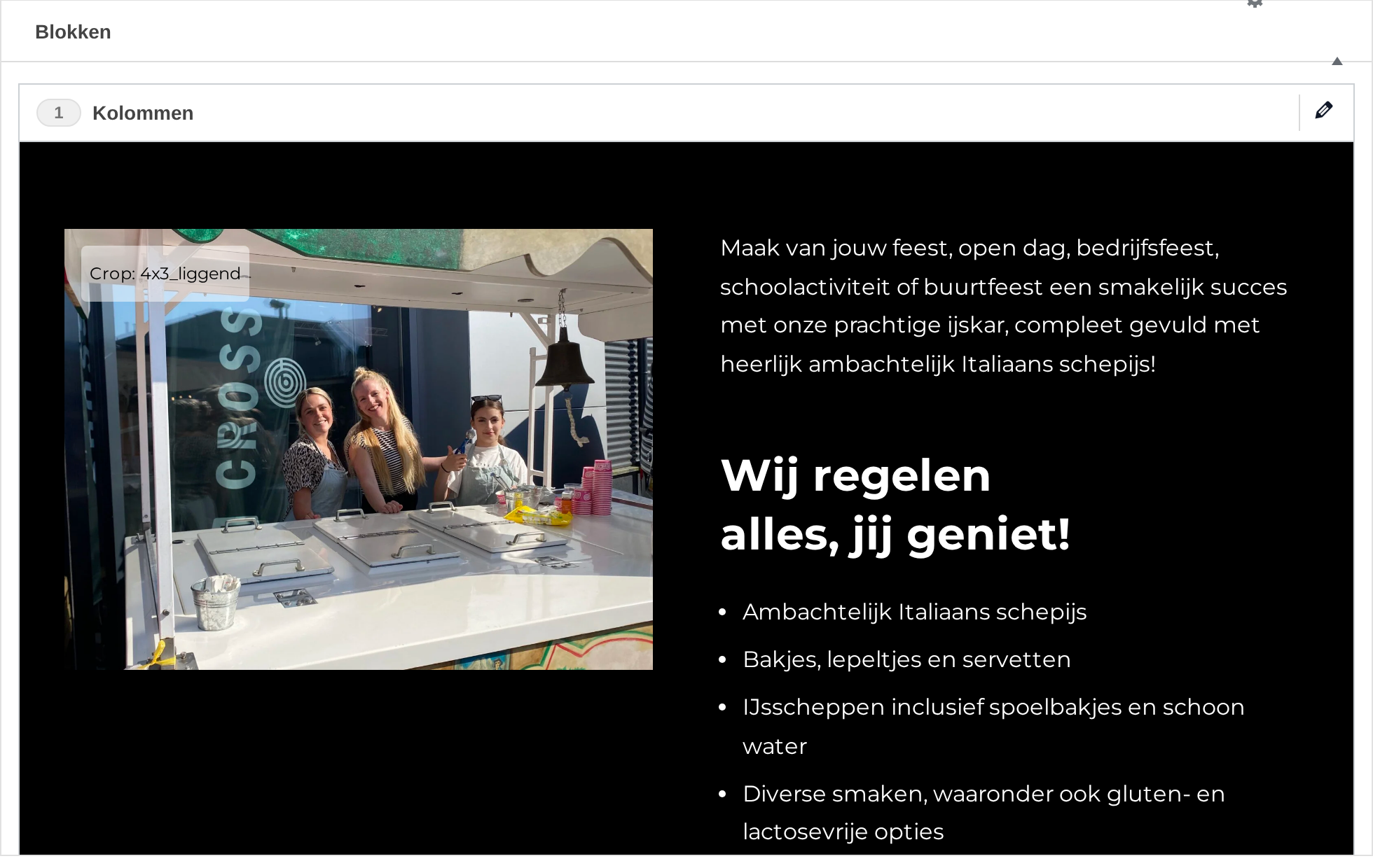 Het veld Blokken met een blokbalk, daaronder een voorbeeld van het blok, en onderaan de knop Nieuw blok.